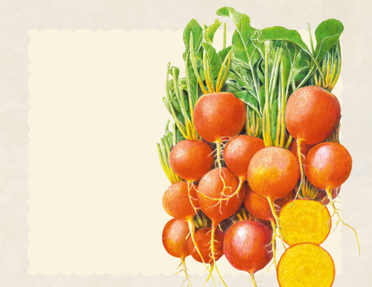 Touchstone golden beets in a bunch