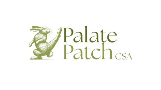 Palate Patch CSA