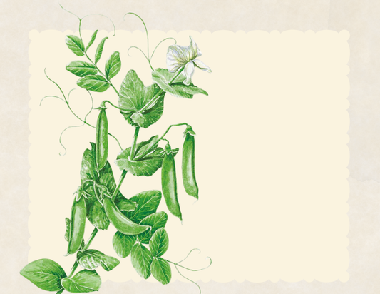 Sugar snap peas and blooms on the vine